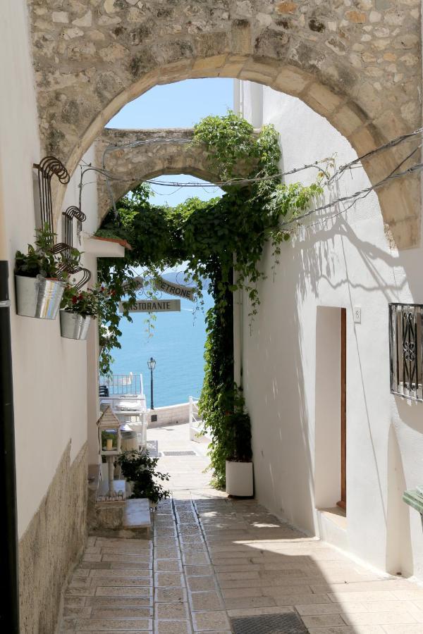 Piazzetta Petrone Apartments + Parking Vieste Eksteriør bilde